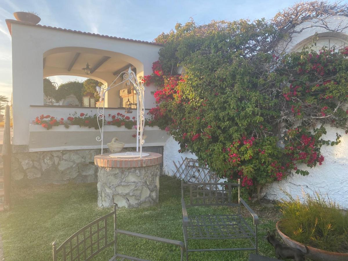 Dimorra Sun And Relax Villa Forio di Ischia Eksteriør bilde